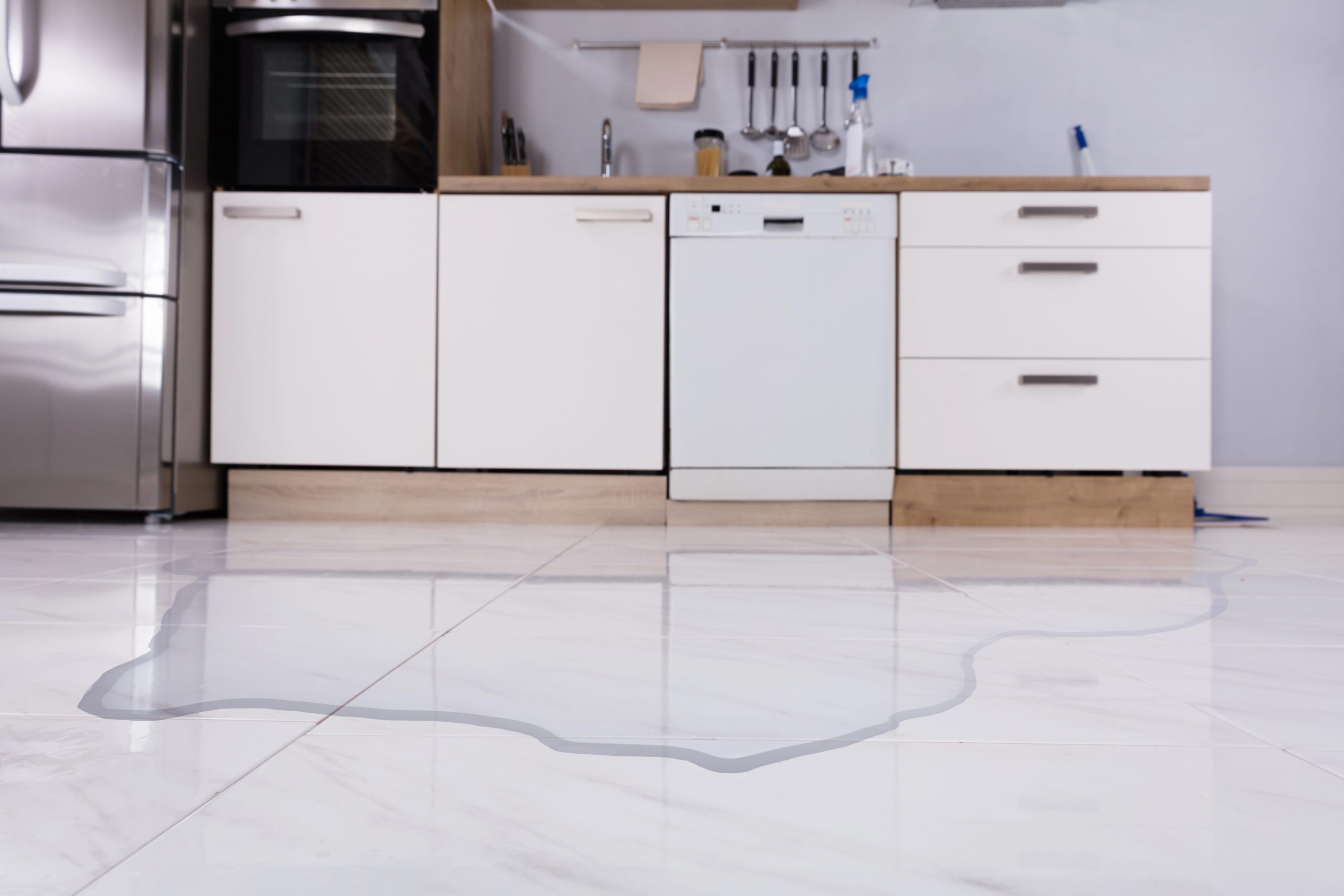 Water leaking from a dishwasher onto a kitchen floor, showing a puddle forming in front of the appliance.